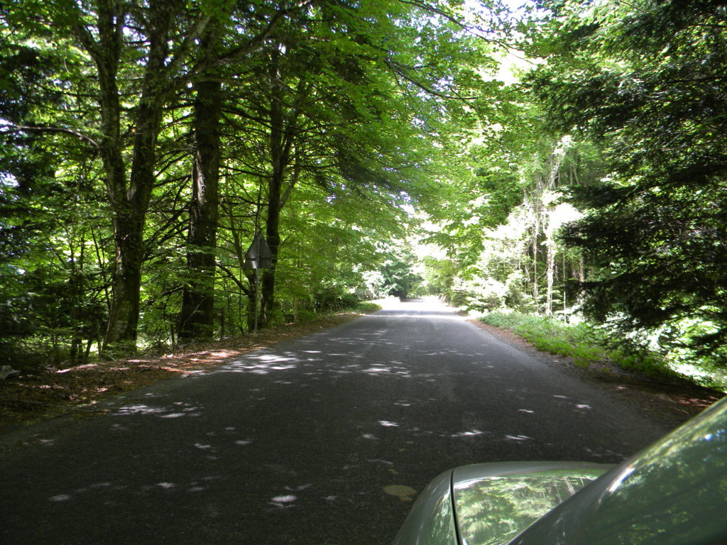 2015-05-06 12.13.25 .jpg